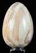 Colorful, Polished Petrified Wood Egg - Triassic #58518-1